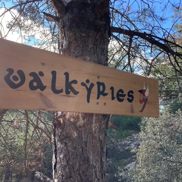 Cartell Valkyries Territori Lo Podall