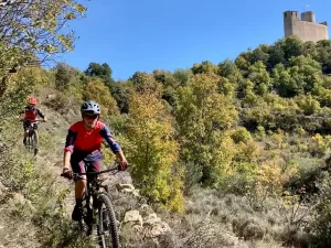 TLP.14.CASTELL MUR